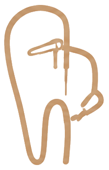 Endodontia